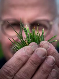 Placeholder for Johan Sanders C Corné Sparidiaens