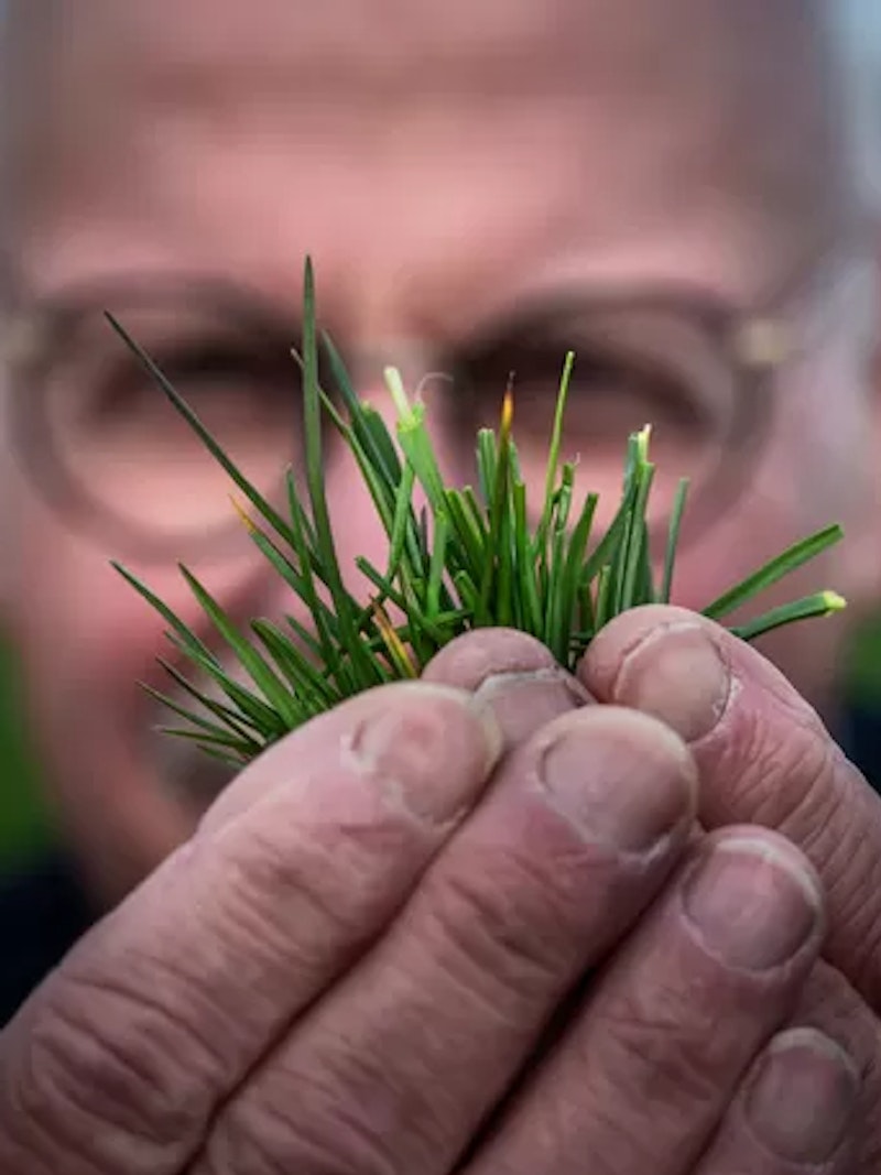 Johan Sanders C Corné Sparidiaens