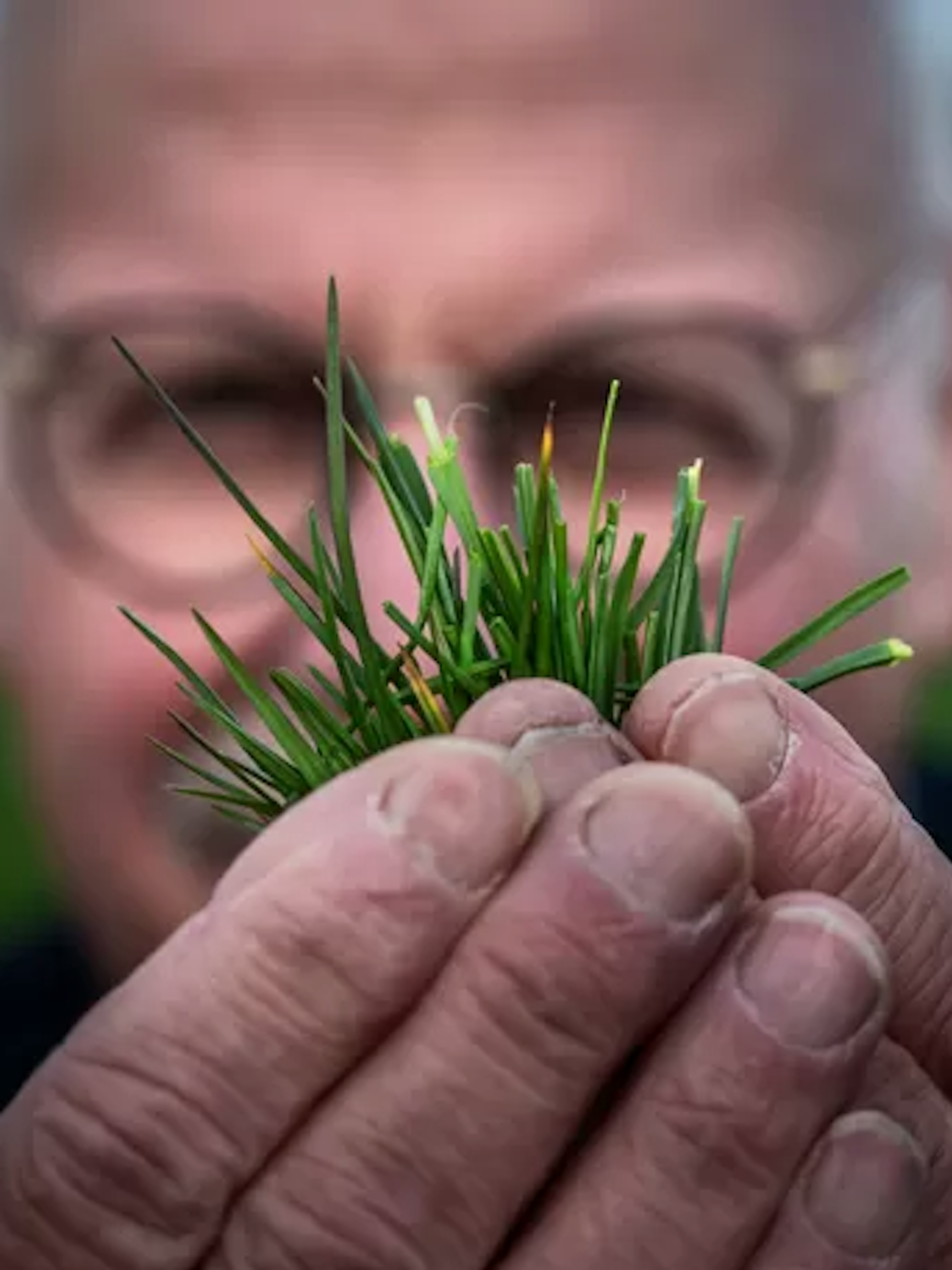 Johan Sanders C Corné Sparidiaens