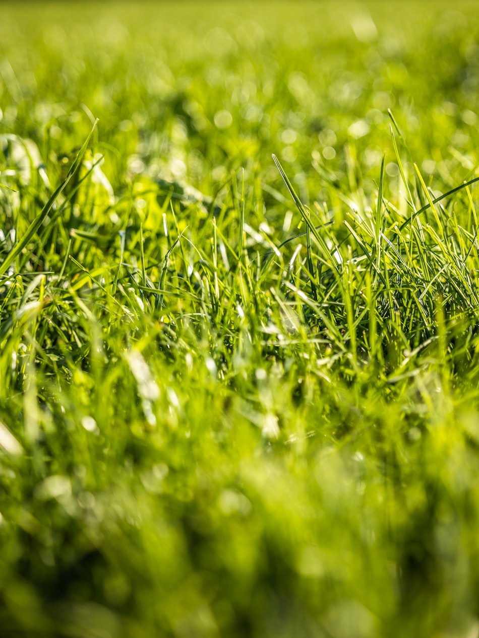 Placeholder for MG 9591 copy