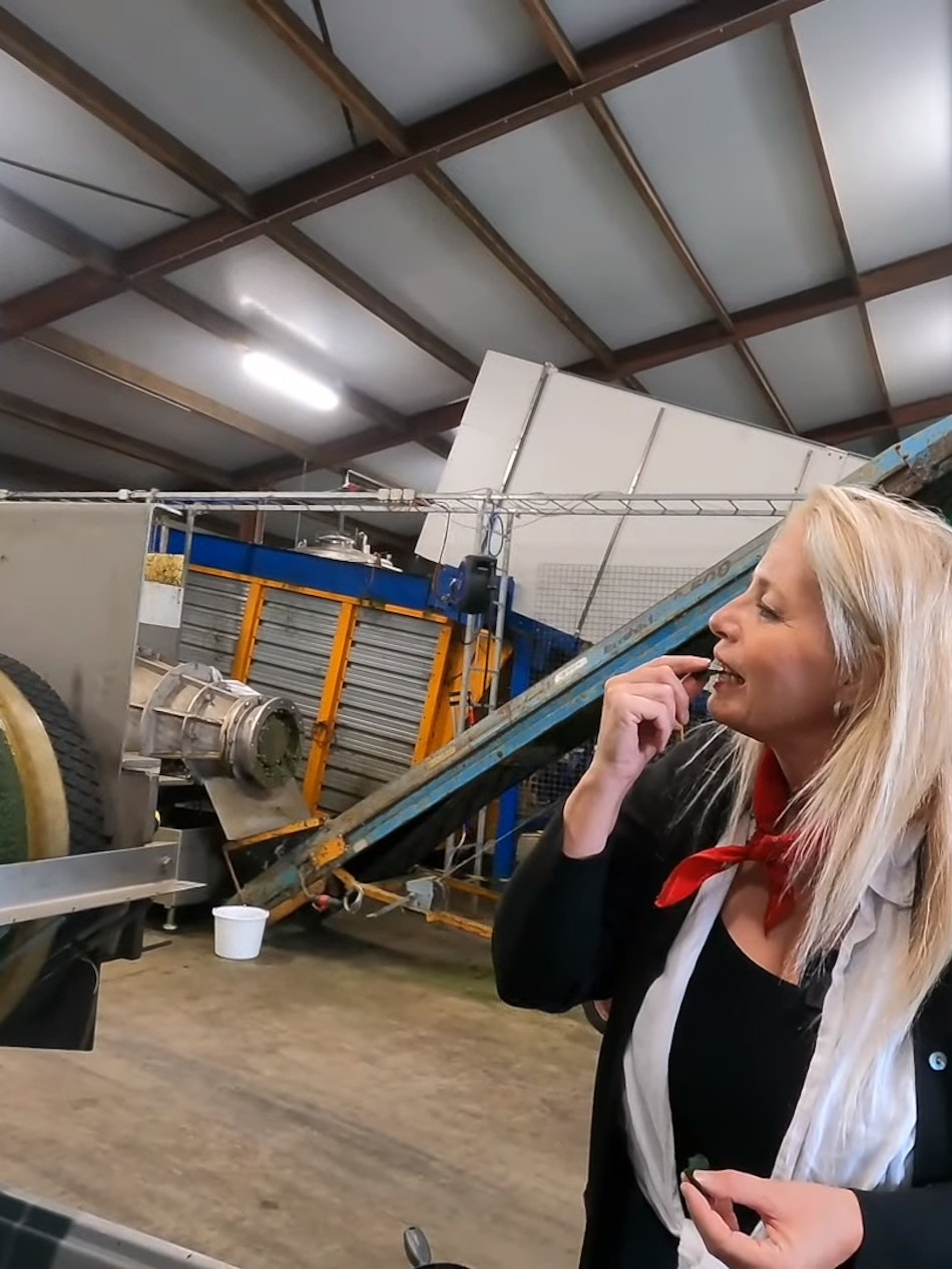 Placeholder for Marianne Zwagerman