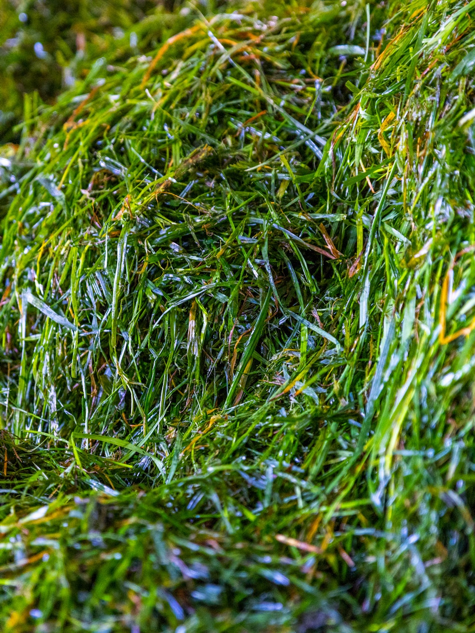 Placeholder for O0 A0331