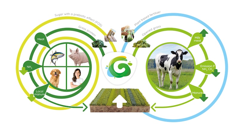 Visual Circulariteit EN