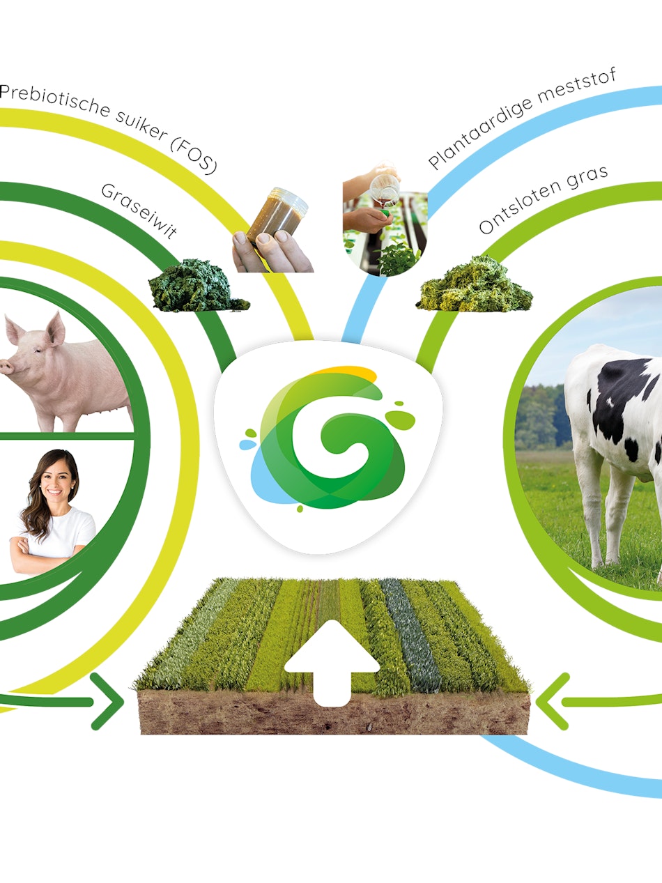 Placeholder for Visual Circulariteit NL