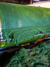 Placeholder for Gras eiwit