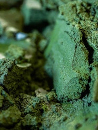 Placeholder for Eiwitgebruikers