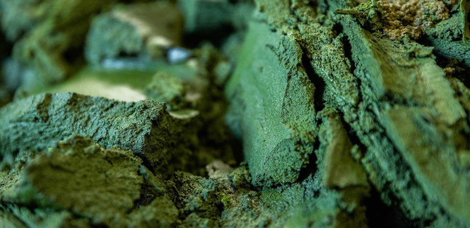 Placeholder for Eiwitgebruikers