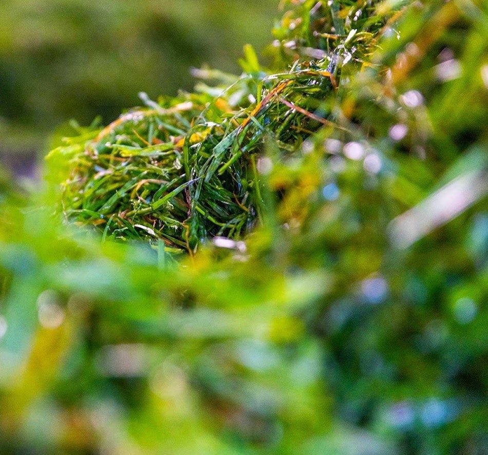 Placeholder for Lokaal & circulair