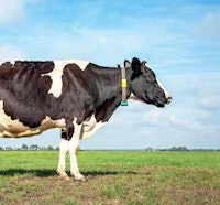 Placeholder for Minder Emissies