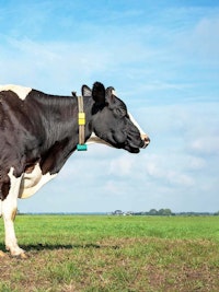 Placeholder for Minder Emissies