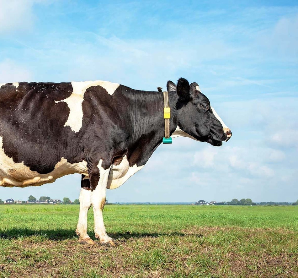 Placeholder for Minder Emissies