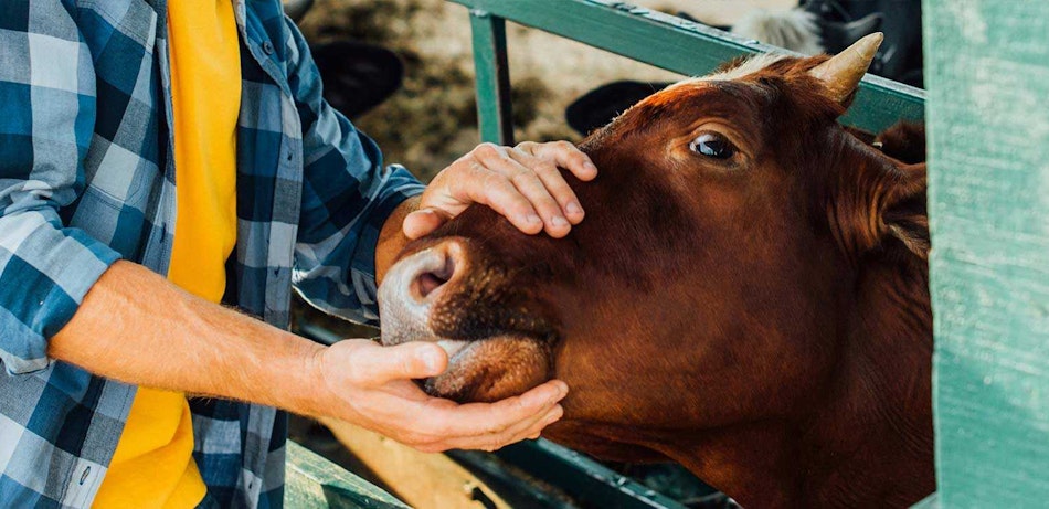 Placeholder for Grassa samenwerken header contact