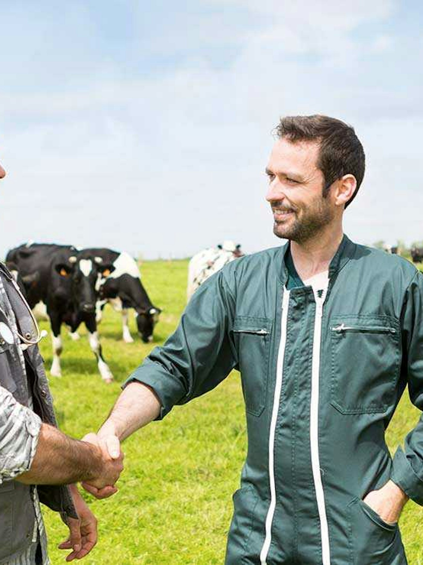 Grassa samenwerken small