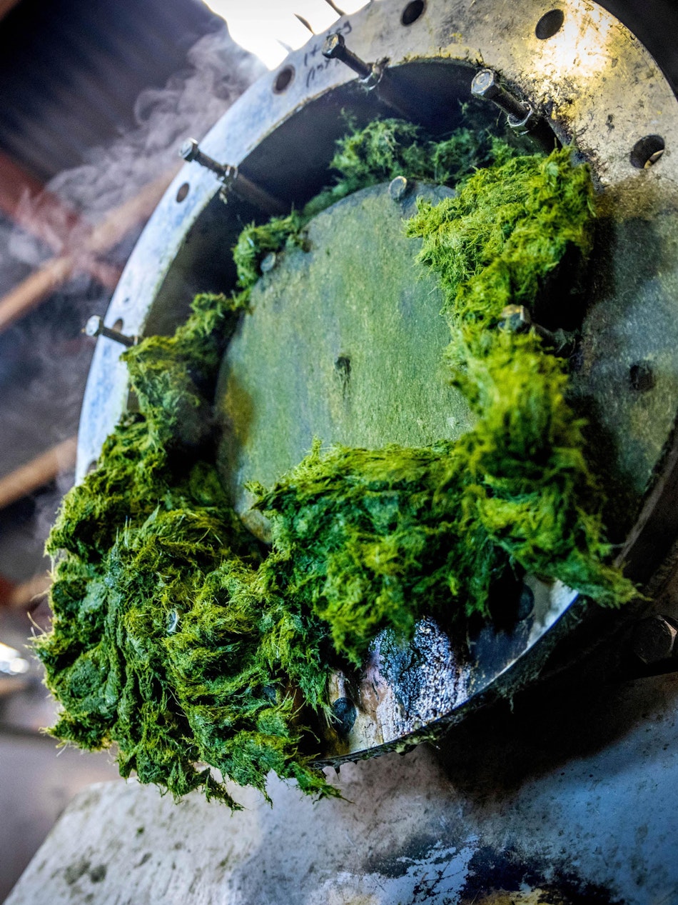 Placeholder for Ontsloten gras