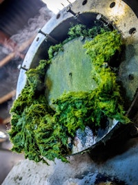 Placeholder for Ontsloten gras