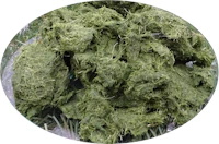 Placeholder for Opened grass fibre clean