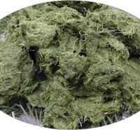 Placeholder for Opened grass fibre clean