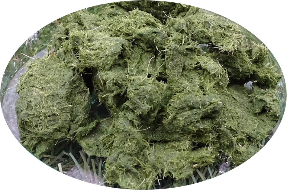 Placeholder for Opened grass fibre clean