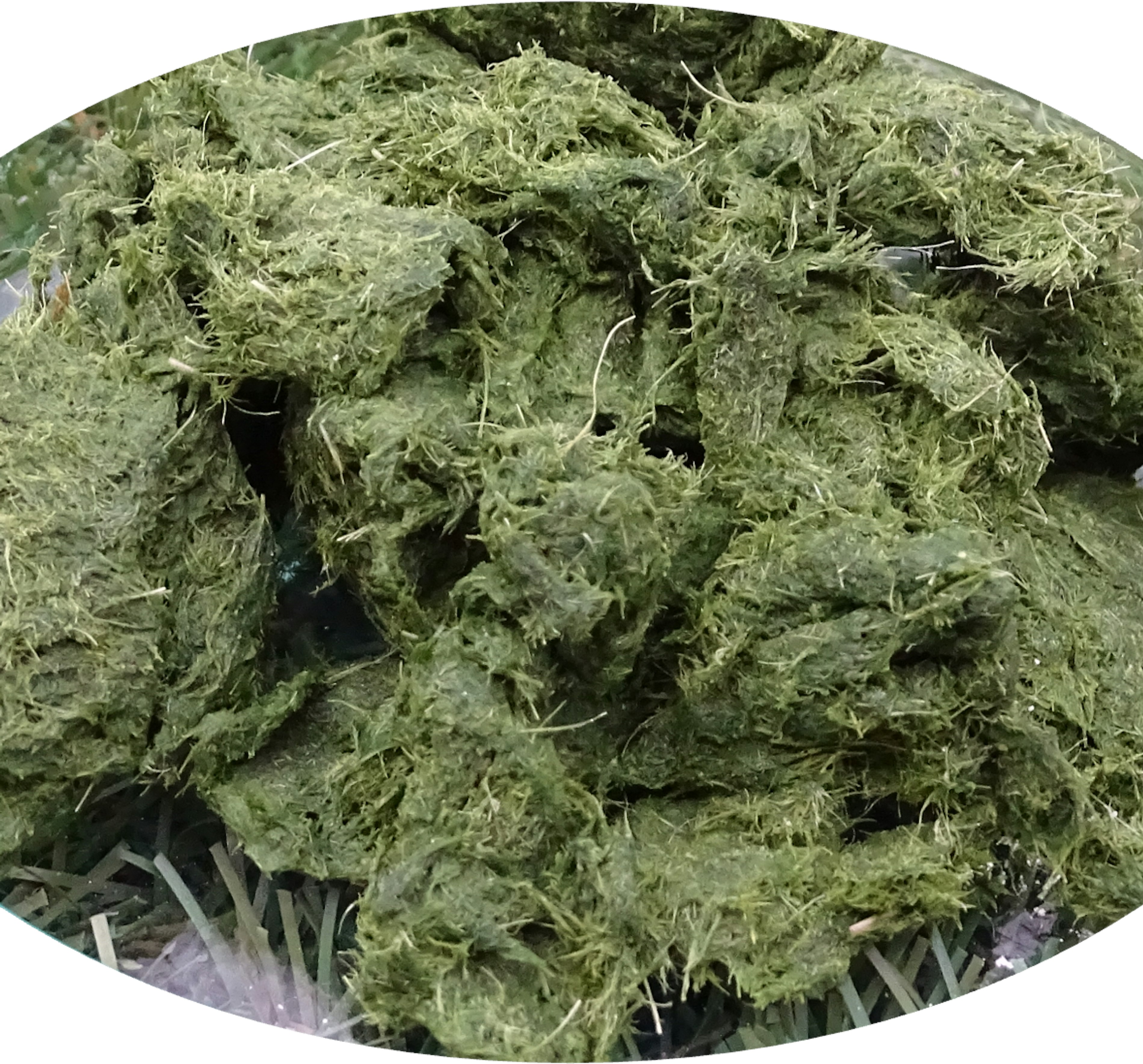 Opened grass fibre clean