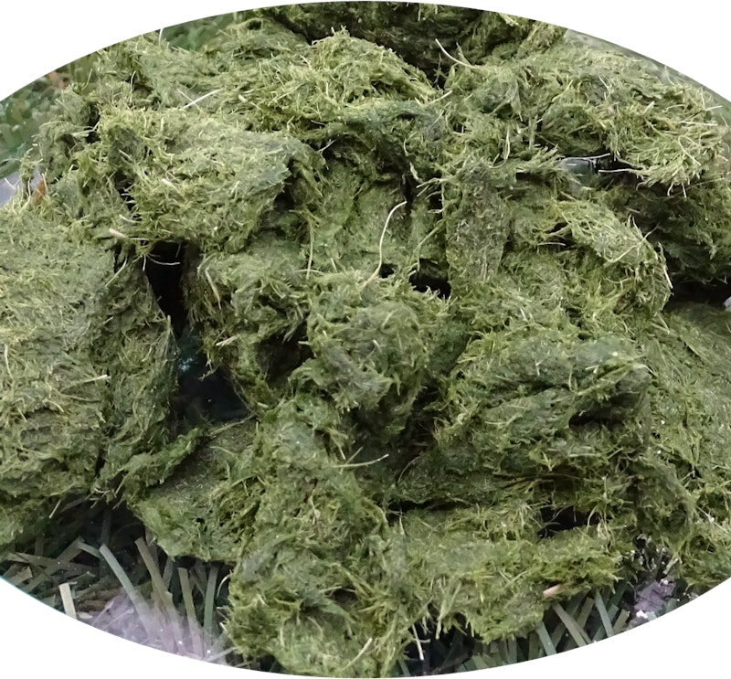 Opened grass fibre clean