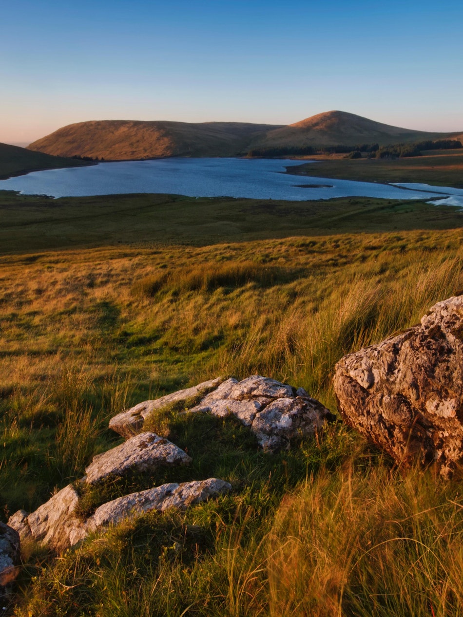 Placeholder for Pexels steven hylands 1650892