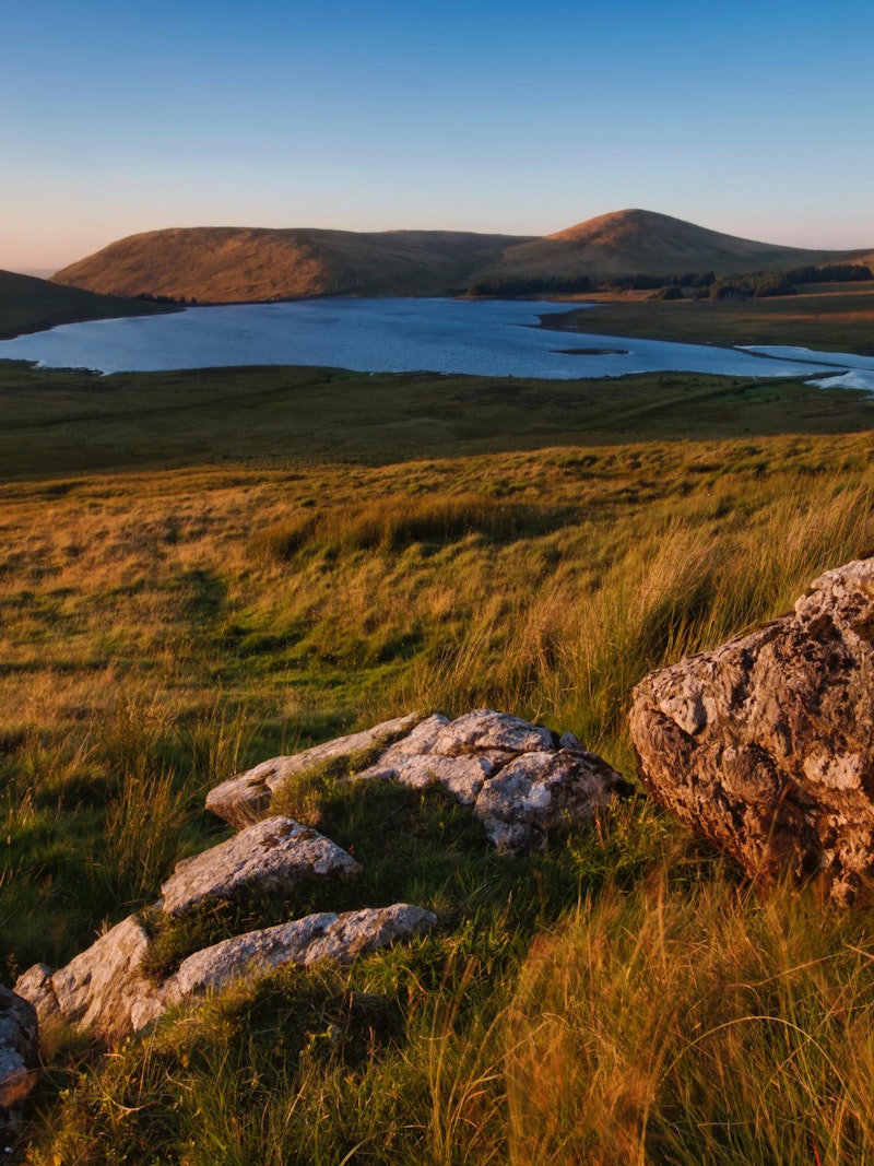 Pexels steven hylands 1650892