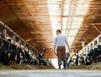 Placeholder for Stal